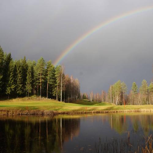 Rainbow above a pond